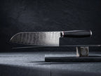 3 Pieces 67-Layer 9Cr18 Damascus Kitchen Knife Set, Ebony Wood Handle, Paring/Santoku/Slicer Premium Chef Knives